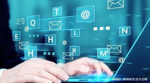 湖南助企文化傳媒 企業(yè)網(wǎng)絡營銷推廣與網(wǎng)絡經(jīng)營實戰(zhàn)指南